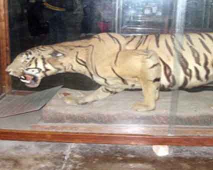 Dhangarhi Museum in Jim Corbett
